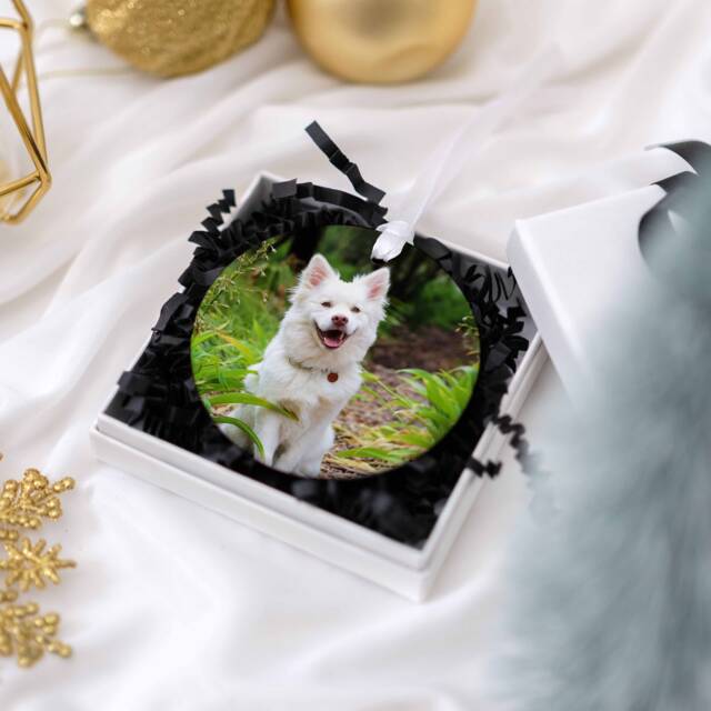 Photo Dog Christmas Tree Bauble Personalised Ornaments For Dogs, Present Stockings For Christmasdog - image 1