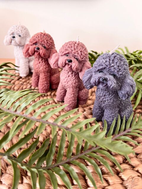 Cockapoo Mum Gift, Cavachon Gift Candle, Owner Cockapoo Bichon Frise Poodle For Mum. Dad Gift - image 1
