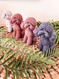 Cockapoo Mum Gift, Cavachon Gift Candle, Owner Cockapoo Bichon Frise Poodle For Mum. Dad Gift - thumbnail 1