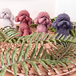 Cockapoo Mum Gift, Cavachon Gift Candle, Owner Cockapoo Bichon Frise Poodle For Mum. Dad Gift - thumbnail 4