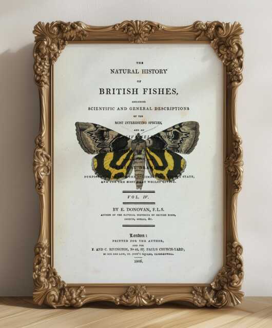 Vintage Style Butterfly Print, Book Page, A4, Fabulous Vintage Wall Art