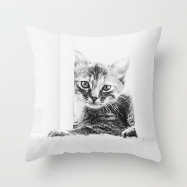Cat Pillow Cover - Kitten Case Cute 16x16 18x18 20x20 Black & White Pet - image 1
