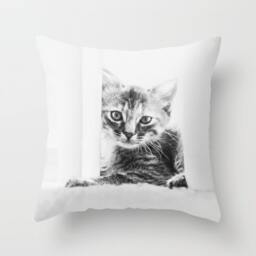 Cat Pillow Cover - Kitten Case Cute 16x16 18x18 20x20 Black & White Pet - thumbnail 1
