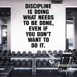 Discipline Quote Vinyl Wall Decal Fitness Gym Decor - thumbnail 2