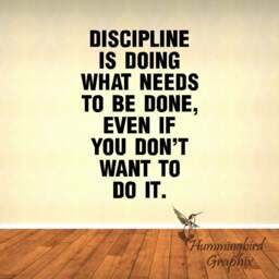 Discipline Quote Vinyl Wall Decal Fitness Gym Decor - thumbnail 3