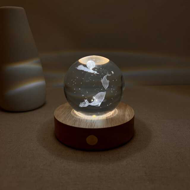 Custom Engrave Dolphin Ball Night Light, 3D Fish Globe Lamp, Lighting Nursery Decor, Cute Bedside Snow Globe, Table Lamp - image 1