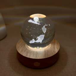 Custom Engrave Dolphin Ball Night Light, 3D Fish Globe Lamp, Lighting Nursery Decor, Cute Bedside Snow Globe, Table Lamp - thumbnail 4