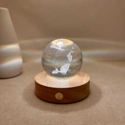 Custom Engrave Dolphin Ball Night Light, 3D Fish Globe Lamp, Lighting Nursery Decor, Cute Bedside Snow Globe, Table Lamp - thumbnail 2