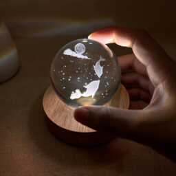 Custom Engrave Dolphin Ball Night Light, 3D Fish Globe Lamp, Lighting Nursery Decor, Cute Bedside Snow Globe, Table Lamp - thumbnail 3