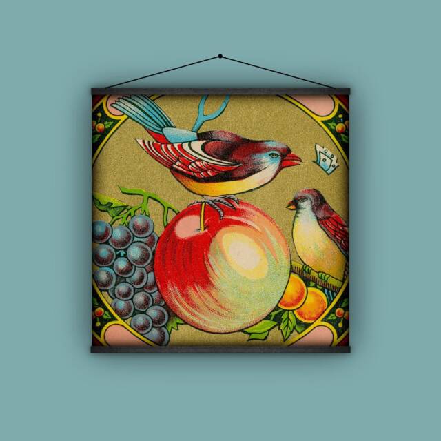 Wall Hanging, Pull Down School Chart, Old Label, Indian Trade Birds, Fruit, Early 1900S, Grapes, Apple, Fabric India - image 1