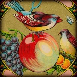 Wall Hanging, Pull Down School Chart, Old Label, Indian Trade Birds, Fruit, Early 1900S, Grapes, Apple, Fabric India - thumbnail 3