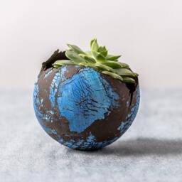 Small Blue & Black Ceramic Planter For Cacti - Mini Succulent Pot - thumbnail 2