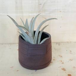 Handmade Stoneware Espresso Cup Ceramic Candle & Air Plant Holder - thumbnail 3