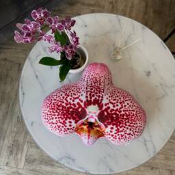 Orchid Flower Pillow, Detailed Flower Shape Cushion - thumbnail 3