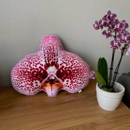Orchid Flower Pillow, Detailed Flower Shape Cushion - thumbnail 2