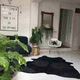 Black Cowhide Rug Natural Cow Hide Leather Dyed Skin 5 X - thumbnail 2