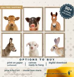 Farm Animal Prints, Peekaboo Nursery Decor - Set Of 6 - thumbnail 1