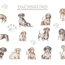 Personalised Dachshund Sharing The Sofa Dog Cushion Cover - Owner Gift Lover Mum - thumbnail 2