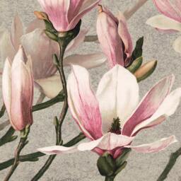 Vintage Magnolia Art Print Floral Botanical Wall Poster - thumbnail 3