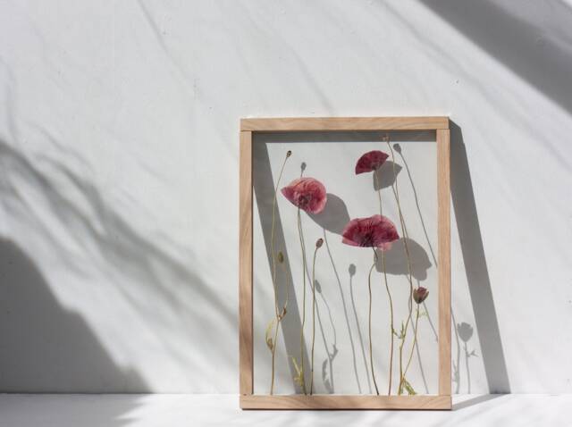 Large Botanical Art - Wall Decor 13x18 - image 1