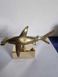 Hammer Head Shark in Brass
