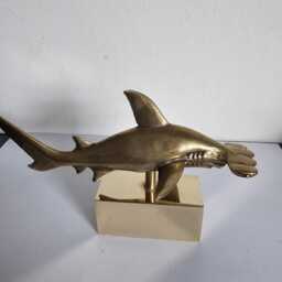 Hammer Head Shark in Brass - thumbnail 4