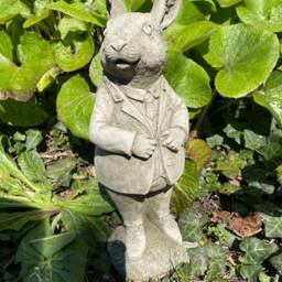 Mr Peter Rabbit Stone Statue - Beatrix Potter Animal Garden Outdoor Ornament British Sculpture Gift - thumbnail 2