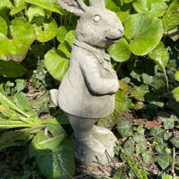 Mr Peter Rabbit Stone Statue - Beatrix Potter Animal Garden Outdoor Ornament British Sculpture Gift - thumbnail 3
