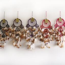 Small Native American Dream Catcher - Feather Wall Hanging - thumbnail 2