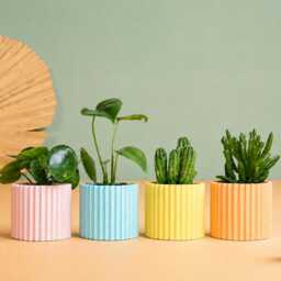 Planter Pot, , Mid Century Planters Idea Gift For Home, Home Decor - thumbnail 2
