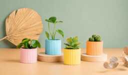 Planter Pot, , Mid Century Planters Idea Gift For Home, Home Decor - thumbnail 1
