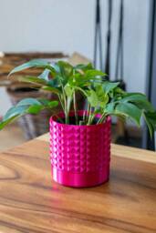 studs Planter - Modern Home Design Drainage Optional - thumbnail 1