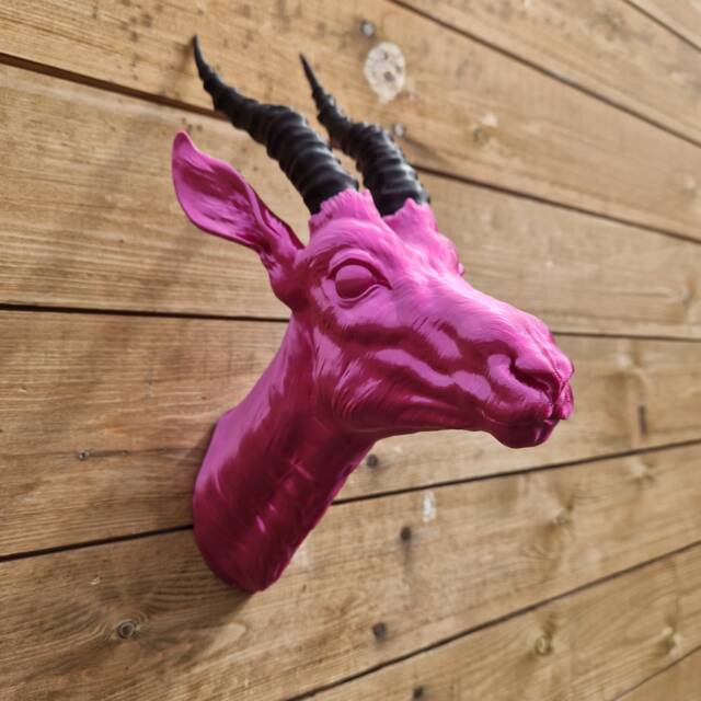 Thomson's Gazelle Head - Animal Wall Decor 3D Printed - image 1