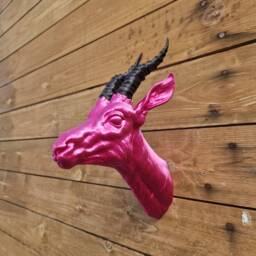 Thomson's Gazelle Head - Animal Wall Decor 3D Printed - thumbnail 3