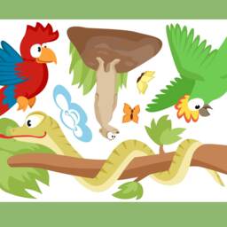 "Wall Sticker ""Snake, Parrots, Meerkat Set" - thumbnail 3