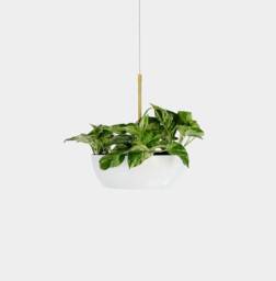 Well Planter Modern Hanging Planter