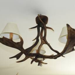 Rustic Antler Chandelier - thumbnail 4