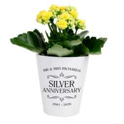 Personalised Silver Wedding Anniversary Plant Pot - With Any Names & Date 25Th Gifts - thumbnail 3