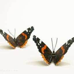 Red Admiral Butterfly Sculpture Scrap Metal Animal Art - thumbnail 2