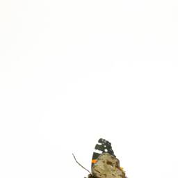 Red Admiral Butterfly Sculpture Scrap Metal Animal Art - thumbnail 4