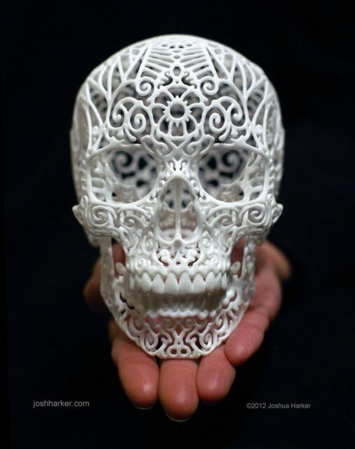 "Skull Sculpture ""Crania Revolutis" - image 1