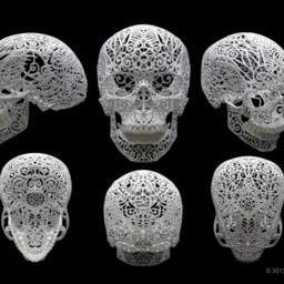 "Skull Sculpture ""Crania Revolutis" - thumbnail 2