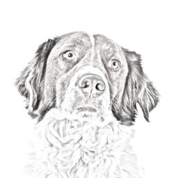 French Spaniel - Wooden Stand For Candles/Pens With The Image Of A Dog New Collection - thumbnail 2