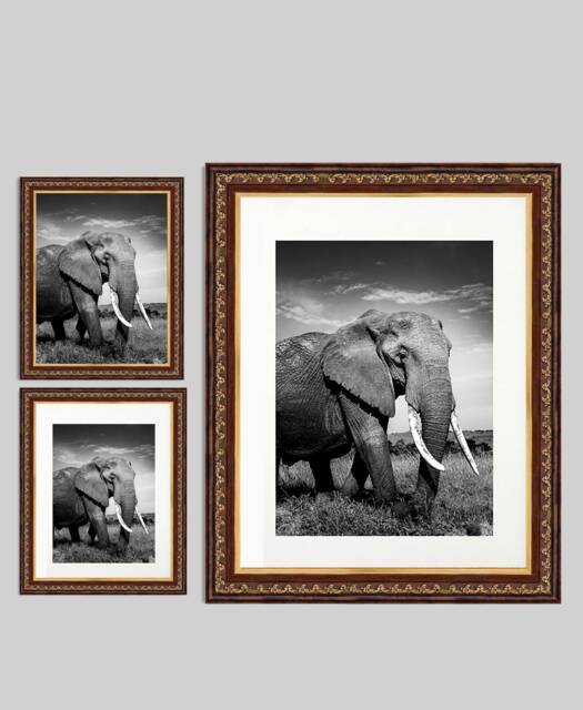 A3/A4 A5 A6 Multi Shaded Brown & Gold Frame - White Mount Photo Picture Print Poster Made in The India - image 1