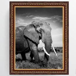 A3/A4 A5 A6 Multi Shaded Brown & Gold Frame - White Mount Photo Picture Print Poster Made in The India - thumbnail 3