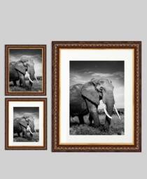 A3/A4 A5 A6 Multi Shaded Brown & Gold Frame - White Mount Photo Picture Print Poster Made in The India