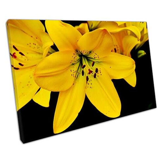 Vibrant Yellow Lily Canvas Print Elegant Floral Wall Art For Home & Office Decor - Ready To Hang - image 1