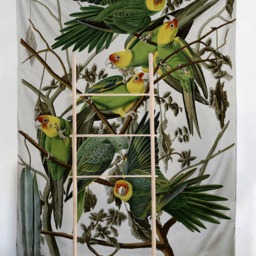Tropical Parrots - Wall Tapestry Tapestry Hangings Wanderlust Bohemian Home Decor Dorm T#83 - thumbnail 2