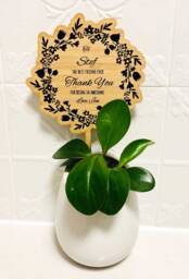 Personalised Best Friend Planter Stick Gift - Plantpot Teachers Thank You - Made in Australia