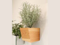 Magnetic Wooden Planter Oblique - Magnetic Flower Pot For Wall Mounted Herbs & Plants